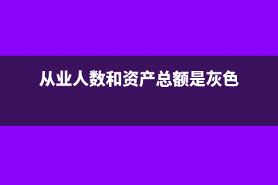 從業(yè)人數(shù)和資產(chǎn)總額具體計(jì)算方法(從業(yè)人數(shù)和資產(chǎn)總額是灰色)