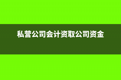 私營公司的會計科目怎么設置(私營公司會計資取公司資金)