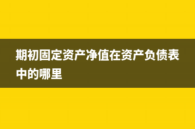 期初固定資產(chǎn)凈值計(jì)算(期初固定資產(chǎn)凈值在資產(chǎn)負(fù)債表中的哪里)