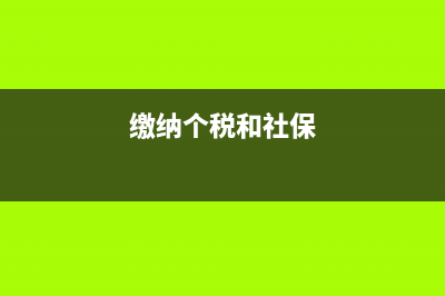 個稅和社保都由公司承擔怎么做分錄(繳納個稅和社保)