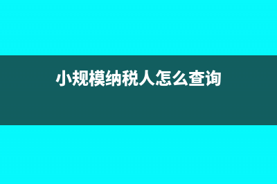 小規(guī)模納稅人怎么開(kāi)具普通發(fā)票?(小規(guī)模納稅人怎么查詢)