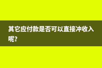 其它應(yīng)付款是否可以直接沖收入呢？