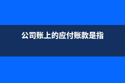 公司賬上的應(yīng)付賬款記多了怎么調(diào)整?(公司賬上的應(yīng)付賬款是指)