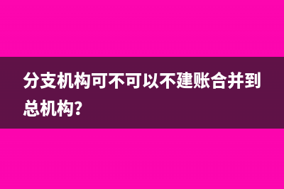 分支機(jī)構(gòu)可不可以不建賬合并到總機(jī)構(gòu)？