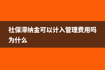 社保滯納金可以分月攤嗎?(社保滯納金可以計(jì)入管理費(fèi)用嗎為什么)