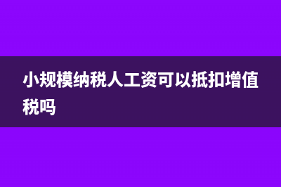 小規(guī)模納稅人工資是否可以不計提呢？(小規(guī)模納稅人工資可以抵扣增值稅嗎)