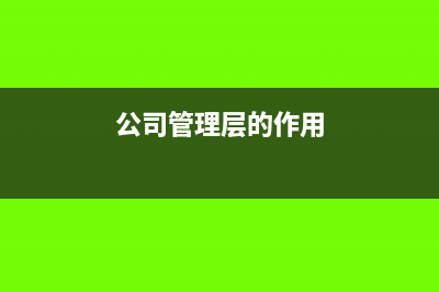 公司層管理人員的工資怎么做賬(公司管理層的作用)