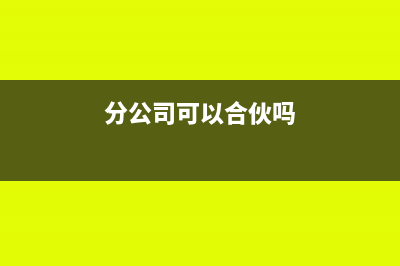 分公司可以合并納稅嗎?(分公司可以合伙嗎)