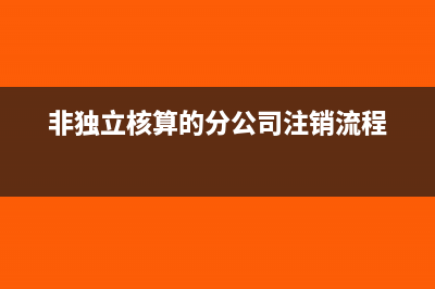 個人股東從公司取得分紅的財務(wù)處理(個人股東從公司借款合法嗎)