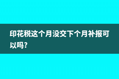 印花稅這個(gè)月沒交下個(gè)月補(bǔ)報(bào)可以嗎?