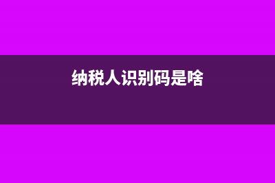 納稅人識別碼是什么?如何查詢?(納稅人識別碼是啥)