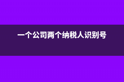 同企業(yè)兩個(gè)稅號能登記嗎?(一個(gè)公司兩個(gè)納稅人識別號)