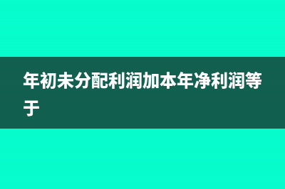 年初未分配利潤負數(shù)需要繳納所得稅嗎(年初未分配利潤加本年凈利潤等于)