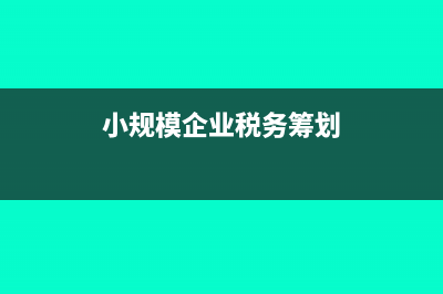 小規(guī)模企業(yè)稅務(wù)局代開(kāi)普票是否可以？(小規(guī)模企業(yè)稅務(wù)籌劃)