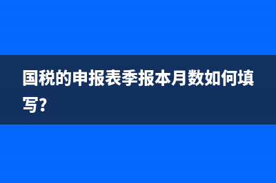 國稅的申報(bào)表季報(bào)本月數(shù)如何填寫？