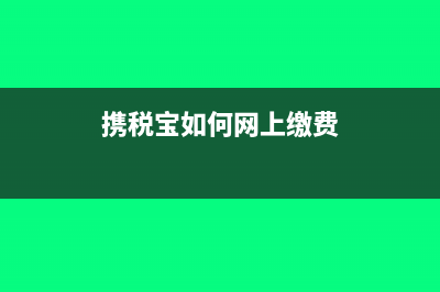 購買攜稅寶做怎樣的會計分錄？(攜稅寶如何網(wǎng)上繳費)