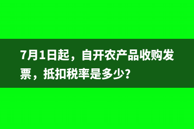 7月財會人必知的減稅政策有哪些(會計七月份忙嗎)