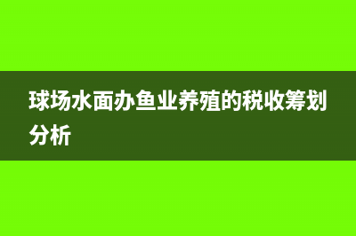 境外單位或者個人在境內(nèi)發(fā)生應(yīng)稅行為，稅額要如何繳納？(境外單位或者個人)