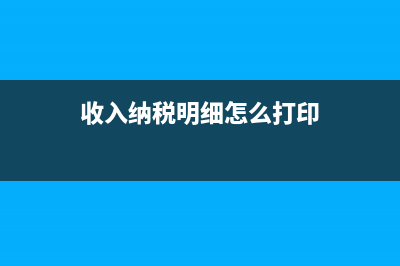 收入納稅明細(xì)怎么查詢(收入納稅明細(xì)怎么打印)