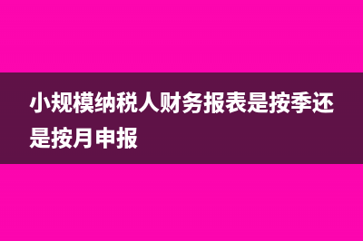 小規(guī)模納稅人財務(wù)報表報送小類怎么填(小規(guī)模納稅人財務(wù)報表是按季還是按月申報)