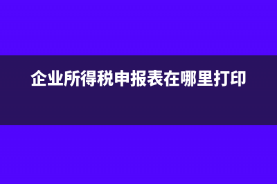 企業(yè)所得稅申報表實際已繳納所得稅額怎么看(企業(yè)所得稅申報表在哪里打印)