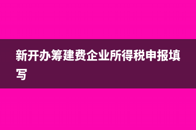 新開辦籌建費(fèi)企業(yè)所得稅申報(bào)填寫