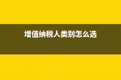 增值稅納稅人類型登記的選擇(增值納稅人類別怎么選)