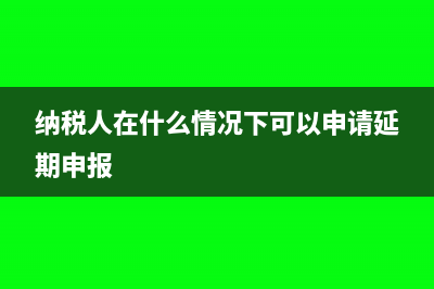 納稅人在什么情況下需要提供納稅擔(dān)保(納稅人在什么情況下可以申請延期申報)