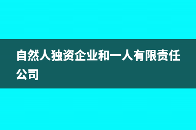 自然人獨(dú)資企業(yè)企業(yè)所得稅稅率是多少(自然人獨(dú)資企業(yè)和一人有限責(zé)任公司)