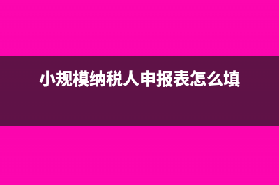 小規(guī)模納稅人申報(bào)表應(yīng)納稅額和開(kāi)票系統(tǒng)有差額怎么處理(小規(guī)模納稅人申報(bào)表怎么填)