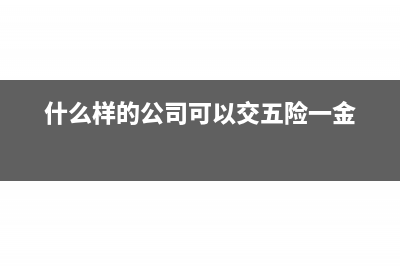 什么樣的公司可以開具現(xiàn)代服務業(yè)促銷宣傳費發(fā)票(什么樣的公司可以交五險一金)