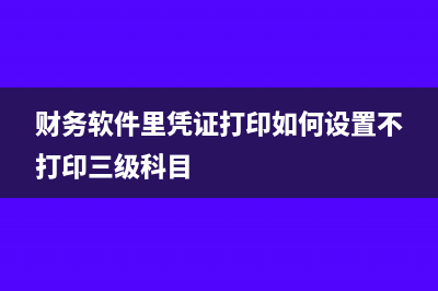 財務(wù)軟件里憑證摘要不能正常錄入怎么辦(財務(wù)軟件里憑證打印如何設(shè)置不打印三級科目)