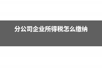 分公司企業(yè)所得稅如何申報(bào)(分公司企業(yè)所得稅怎么繳納)