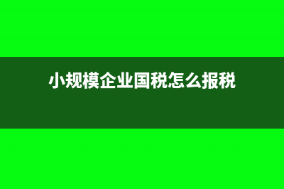 小規(guī)模企業(yè)國稅申報?(小規(guī)模企業(yè)國稅怎么報稅)