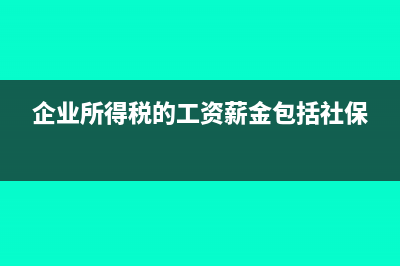 薪酬支出中的“賬載金額”及“實際發(fā)生額”該怎么填報?(薪酬支出包括什么)