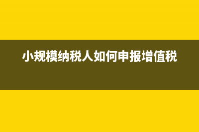 小規(guī)模納稅人如何開具增值稅專票(小規(guī)模納稅人如何申報增值稅)