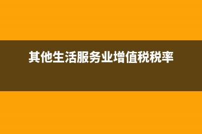 其他生活服務(wù)業(yè)包括哪些(其他生活服務(wù)業(yè)增值稅稅率)