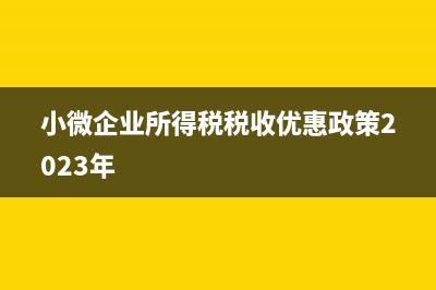 小微企業(yè)所得稅預(yù)繳申報(bào)表怎么填(小微企業(yè)所得稅稅收優(yōu)惠政策2023年)