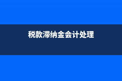 稅款滯納金會計分錄怎么寫？(稅款滯納金會計處理)