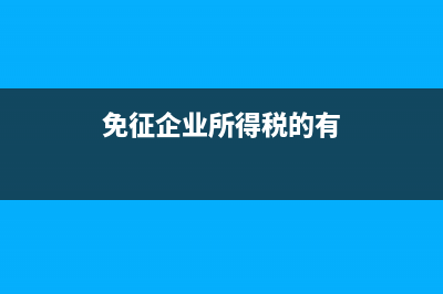 免征企業(yè)所得稅的企業(yè)是否進(jìn)行帳務(wù)處理?(免征企業(yè)所得稅的有)