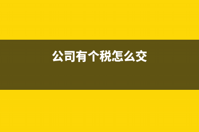 公司有個(gè)稅怎么計(jì)提工資?(公司有個(gè)稅怎么交)