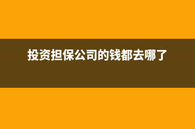 投資擔(dān)保公司的賬務(wù)處理怎么做？(投資擔(dān)保公司的錢都去哪了)