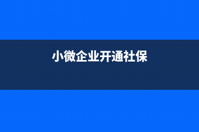 收到社保小微企業(yè)補(bǔ)貼賬務(wù)處理(小微企業(yè)開(kāi)通社保)