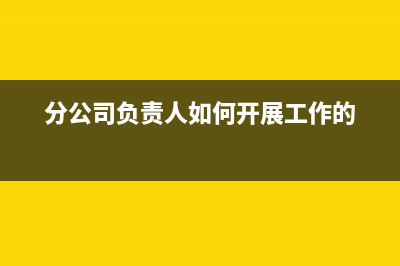 分公司負(fù)責(zé)人如何合理轉(zhuǎn)賬？(分公司負(fù)責(zé)人如何開展工作的)