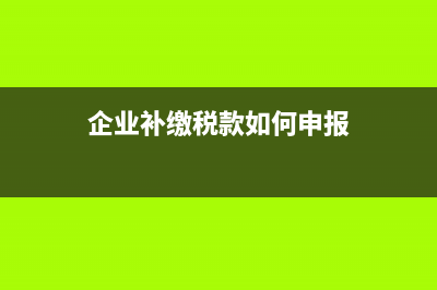 國有企業(yè)支付扶貧款如何做賬務(wù)處理？(政府扶持國有企業(yè))