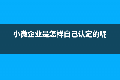 其他應(yīng)付款的輔助科目是什么？(其他應(yīng)付款的輔助科目是什么)