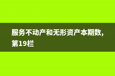 服務(wù)不動(dòng)產(chǎn)和無形資產(chǎn)扣除項(xiàng)目明細(xì)怎么填？(服務(wù)不動(dòng)產(chǎn)和無形資產(chǎn)本期數(shù),第19欄)