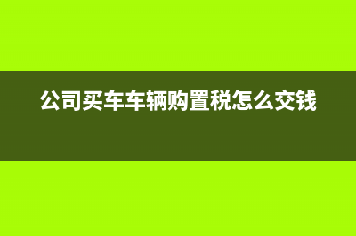 公司中征碼是什么？(公司中征碼是什么樣子的)