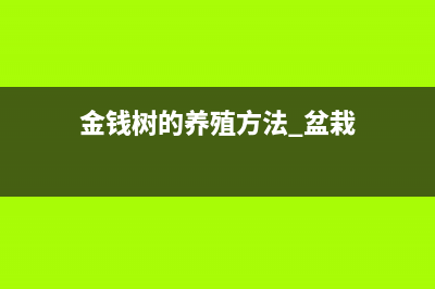 金錢樹的養(yǎng)殖方法和注意事項(xiàng)(圖文)(金錢樹的養(yǎng)殖方法 盆栽)