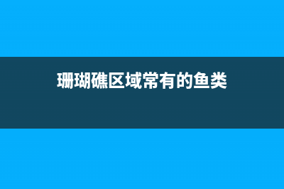 真正有效解決vue addRoute動態(tài)添加路由后刷新頁面白屏的靠譜方法及思路，切實可行！(真正有效解決近視的方法)